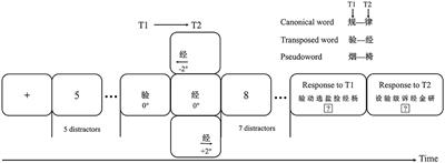 Electrophysiological Correlates of Character Transposition in the Left and Right Visual Fields